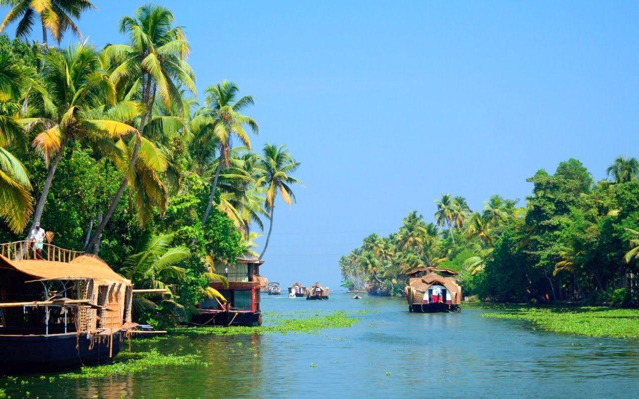 Lush tropical greenery